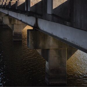 Meet your Posher, Bella